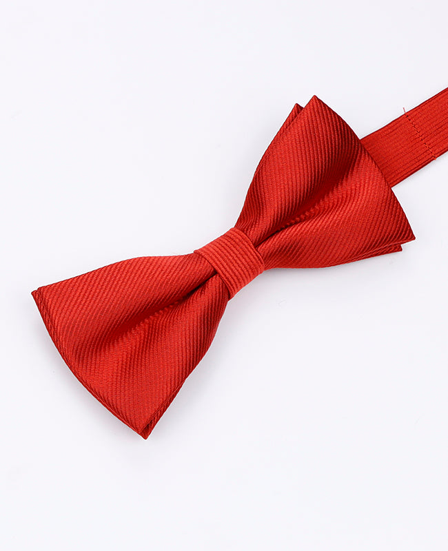 Pajarita Rojo n°2 Hombre en Poliéster | Lucien - Unipap's