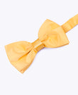 Pajarita Amarillo n°1 Hombre en Poliéster «Anatole»