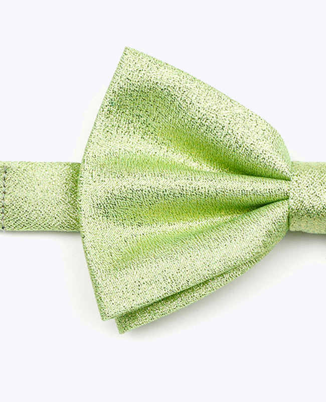 Pajarita con Lentejuelas Verde n°2 Hombre en Poliéster | Isidore - Unipap's