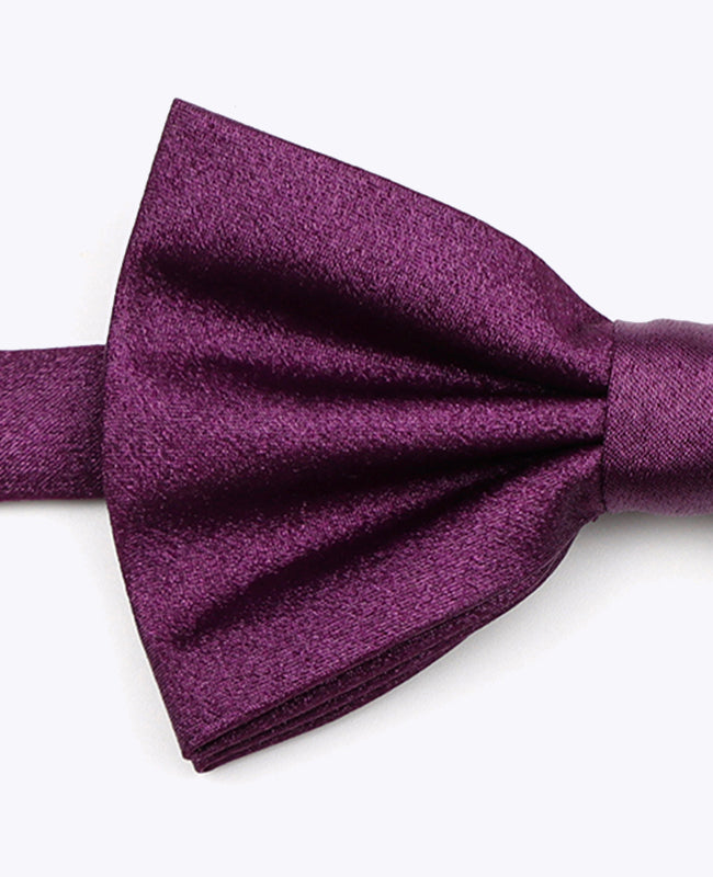 Pajarita con Lentejuelas Violeta n°1 Hombre en Poliéster | Armand - Unipap's