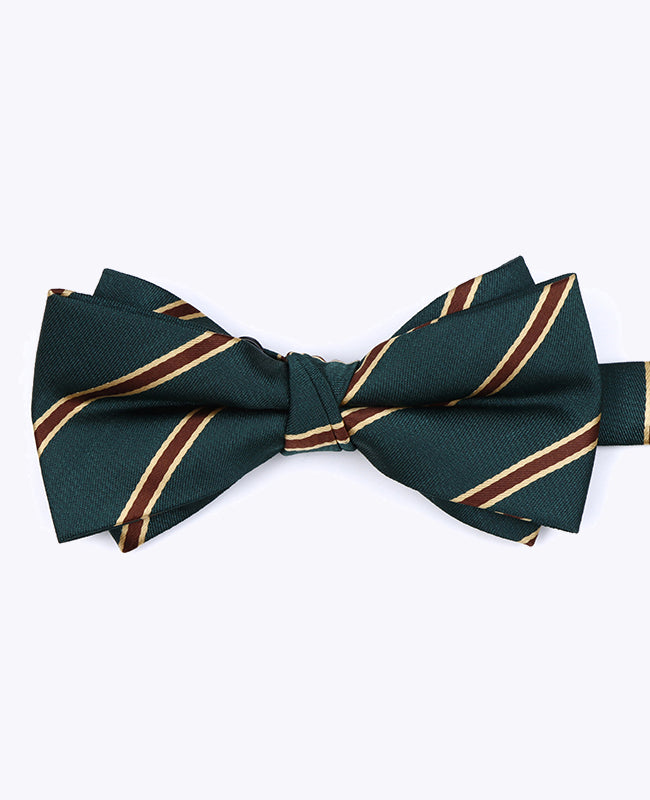 Noeud Papillon Vert à Rayures Homme en Polyester «Edmond»