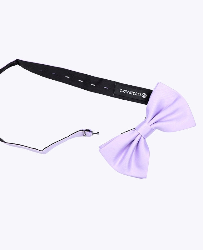 Noeud Papillon Violet n°2 Homme en Polyester «Anatole»