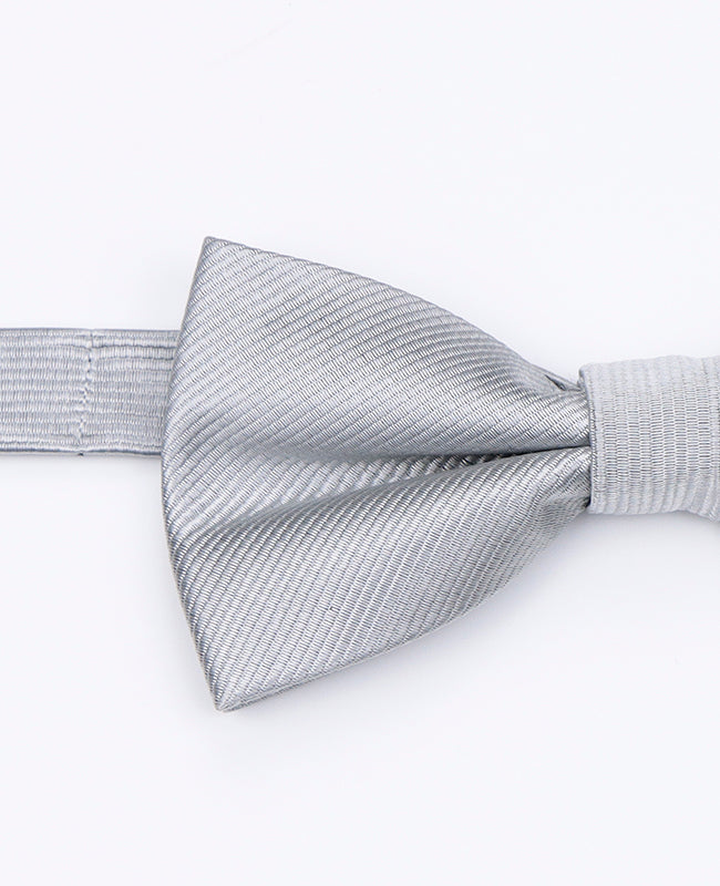 Noeud Papillon Gris n°2 Homme en Polyester | Lucien - Unipap's